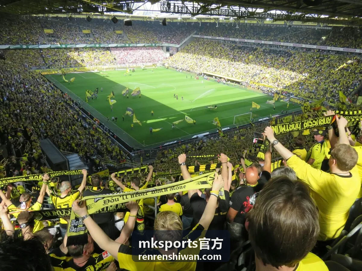 mksports官方成绩查询与复核服务