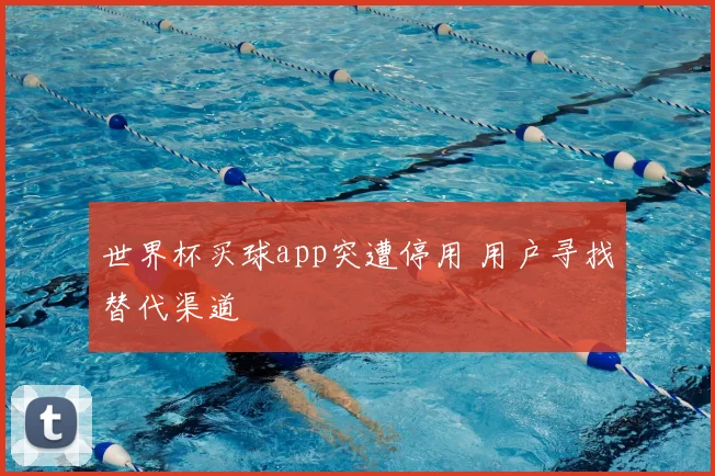世界杯买球app突遭停用 用户寻找替代渠道