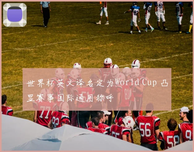 世界杯英文译名定为World Cup 凸显赛事国际通用称呼