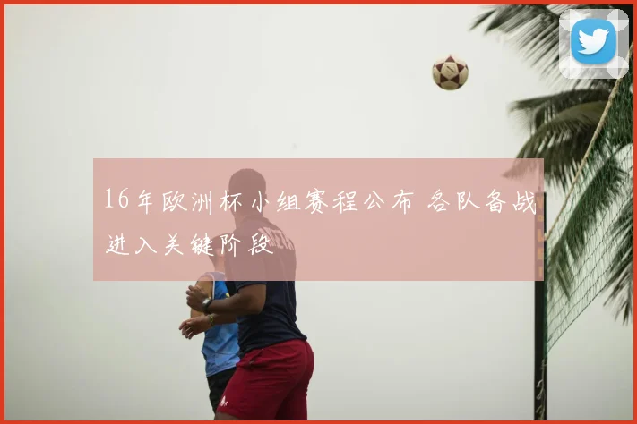 16年欧洲杯小组赛程公布 各队备战进入关键阶段