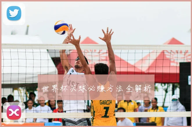 世界杯买球必赚方法全解析