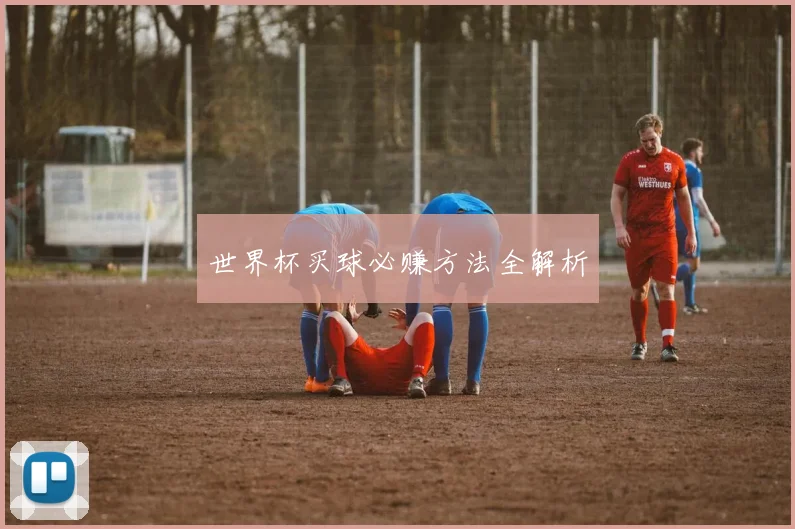 世界杯买球必赚方法全解析
