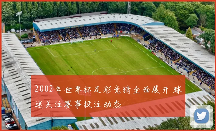 2002年世界杯足彩竞猜全面展开 球迷关注赛事投注动态