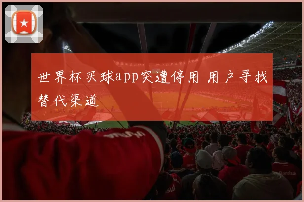 世界杯买球app突遭停用 用户寻找替代渠道